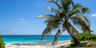 Hope Town Real Estate: A Buyer's Guide to Elbow Cay's Historic Harbour