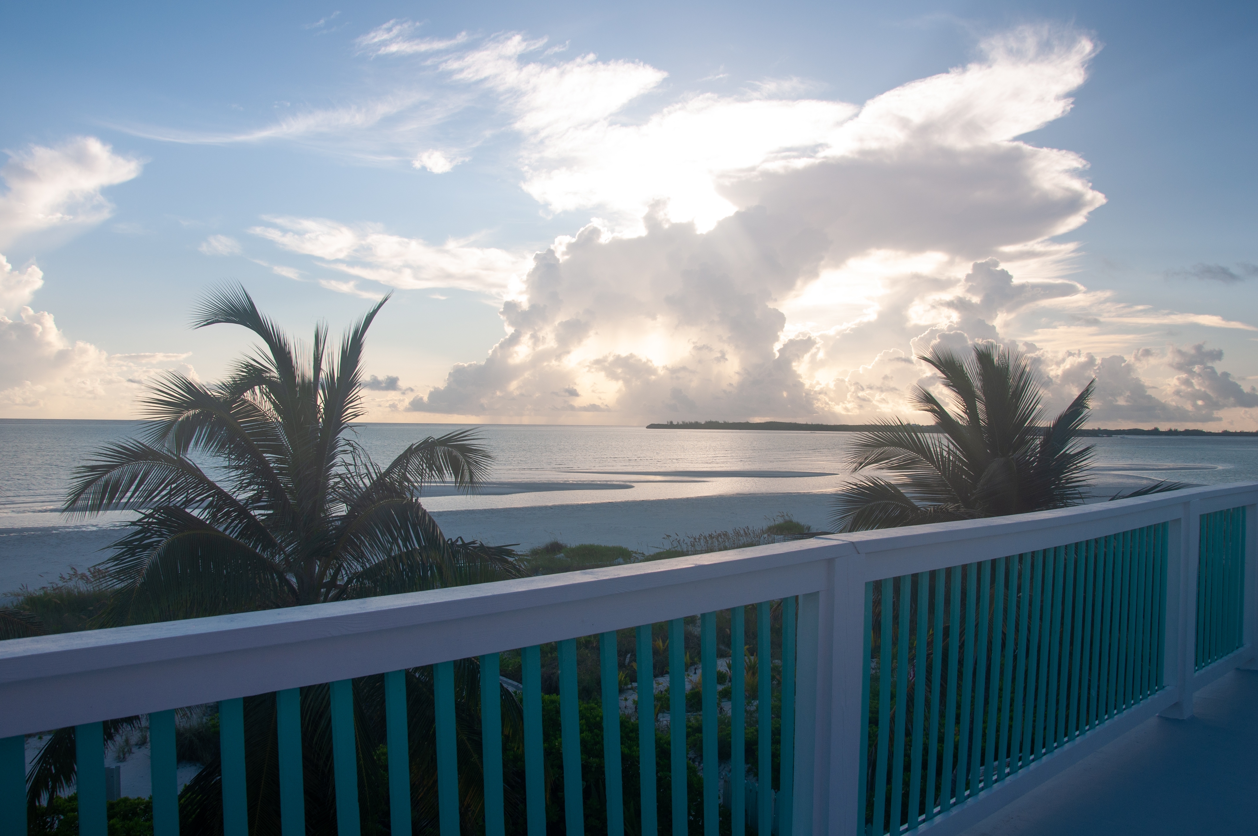 Porchview of palm trees and the beach in Spanish Wells, Bahamas